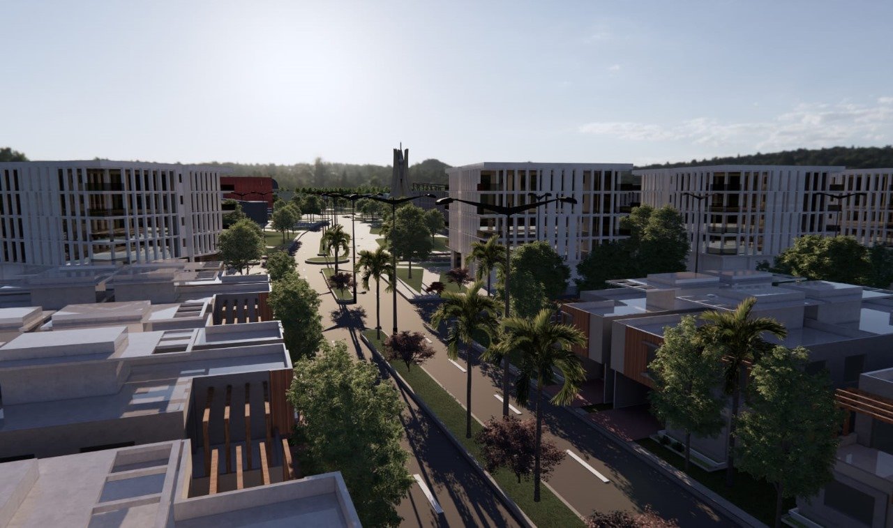 Project view